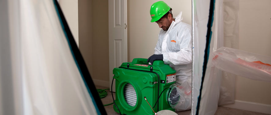 Goleta, CA mold cleanup