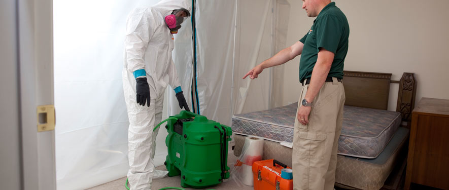 Goleta, CA mold removal process